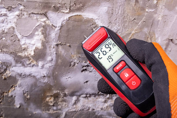 Best Mold Cleaning Services  in Swansea, IL